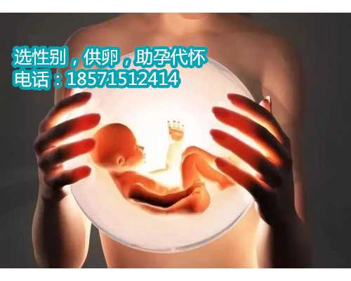 北京供卵助孕性别选择,2022衡阳私立生殖医院试管婴儿费用清单