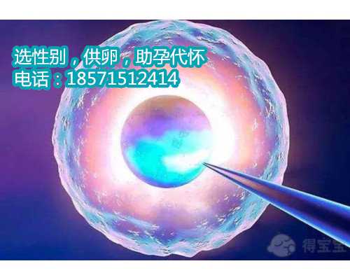 北京供卵助孕包成功率,22022佛山试管医院名单公布