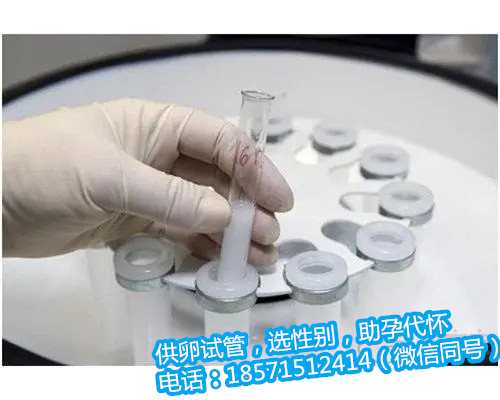 广州提供卵巢早衰供卵价格,广东妇幼保健院试管婴儿医生评价