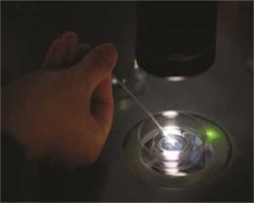 国内代孕费用，秦皇岛冻卵需要多少钱