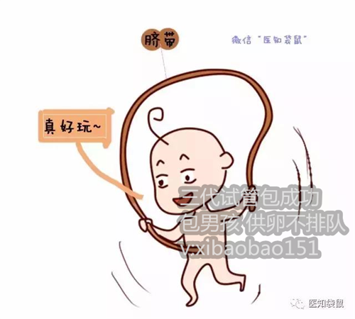 上海卵巢早衰供卵机构,12022年在成都西囡医院做